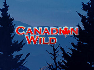 Banner of Canadian Wild, a Canada-Inspired Slot Game