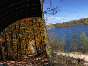 Banner of Claireville and Heart Lake Conservation Area