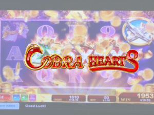 Banner of Cobra Hearts