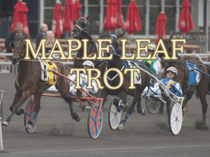 Banner of Maple Leaf Trot
