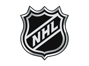 Logo of National Hockey League