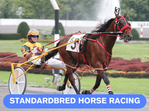 Banner of Standardbred Horse Racing