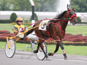 Logo of Standardbred Racing