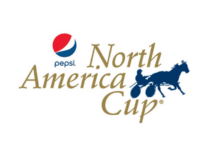 Banner of The North America Cup