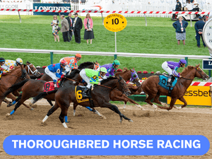 Banner of Thoroughbred Horse Racing