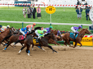 Logo of Thoroughbred Racing