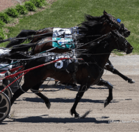 Hanover Raceway inside