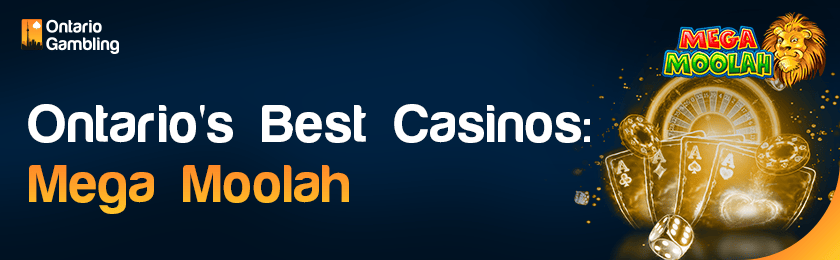 Some casino gaming items for Ontario's best Mega Moolah Slot casinos
