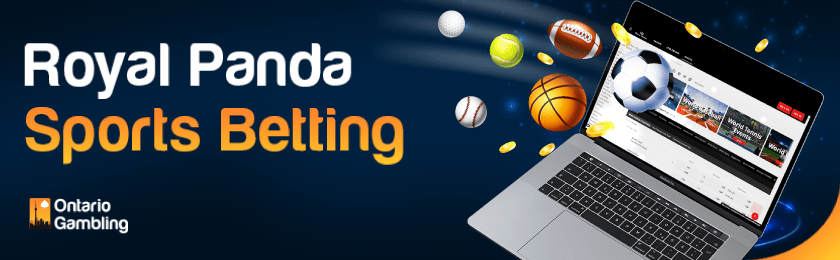Different types of sports balls are coming from RoyalPanda online betting website on a Laptop